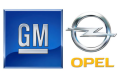 Opel GM Orjinal Hava Filtresi